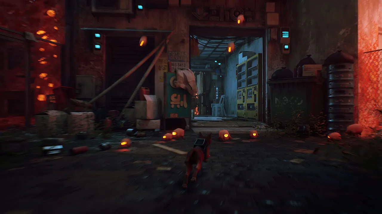 Imagen oficial de Stray (3)
